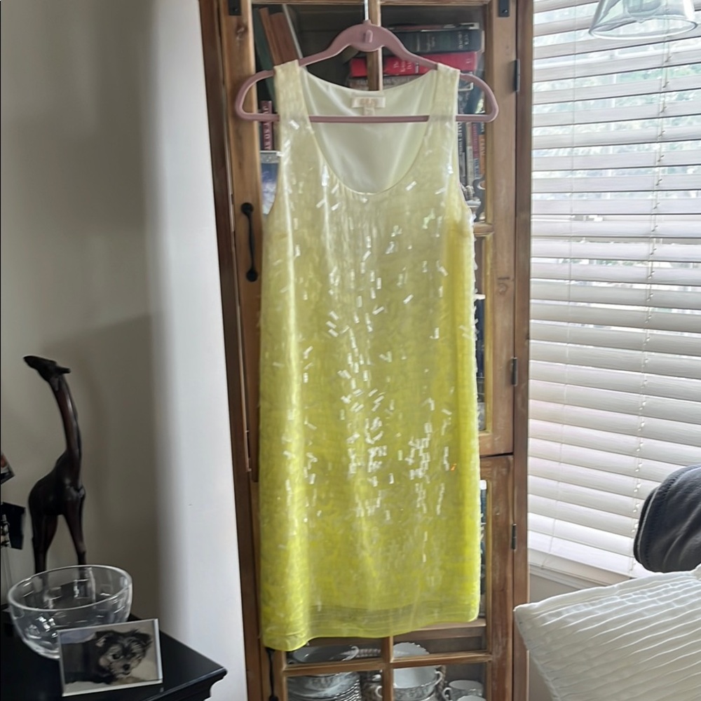 Ombre Sequin Dress